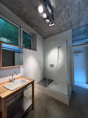 a bathroom with a sink and a shower at Sleep You Soon - Loft & parking in Liège