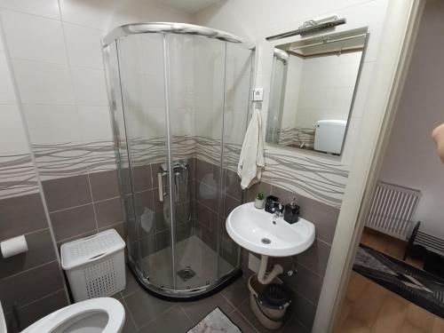 a bathroom with a shower and a sink and a toilet at Studio 13 in Kragujevac