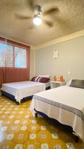 En eller flere senge i et værelse på Mountain View Hostel