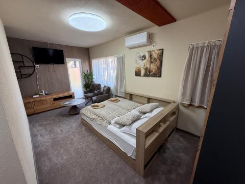 a bedroom with a bed and a couch and a television at Bee house 11 in Odorheiu Secuiesc