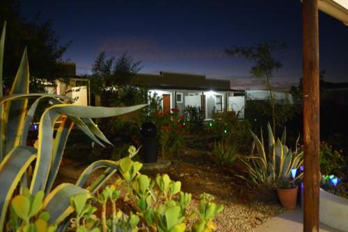 a garden at night with a house in the background at Travellers Rest in Prince Albert