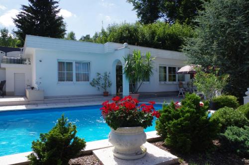 a villa with a swimming pool and a house at Gästehaus Gaens - Ferienhaus in Schirgiswalde