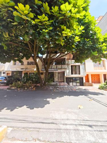 a large tree in front of a building at Casa Eclat in Medellín