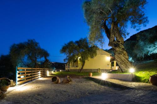 a house with two dogs laying on the ground at night at Renata Rooms & Studios in Barbati