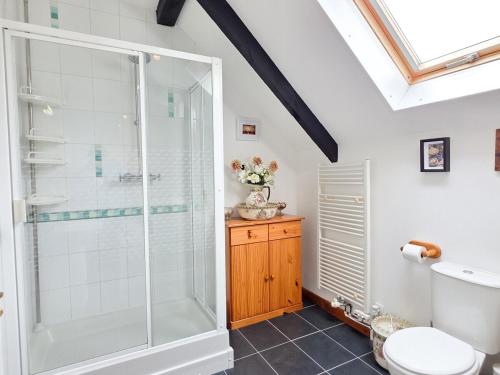un bagno con doccia e WC di Le Petit Saint-Brieuc - Grand Terrain, 5 min Ville a Caribet