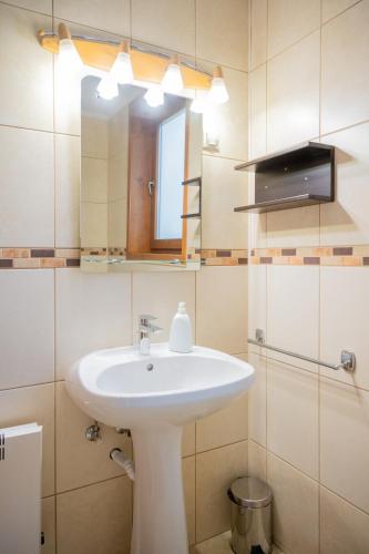 a bathroom with a white sink and a mirror at Várlak in Sub Cetate
