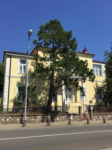 Villa Ana – Photos 3