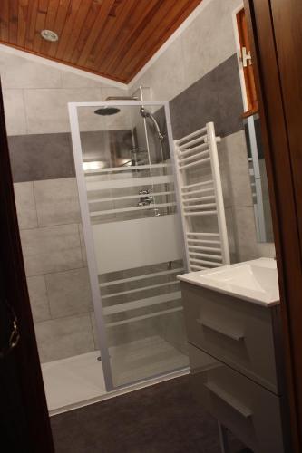 een badkamer met een douche en een wastafel bij Chalet Les Jonquilles in La Bresse