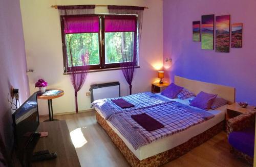 a bedroom with a bed with purple walls and a window at Lesní Penzion Vranov in Vranov nad Dyjí