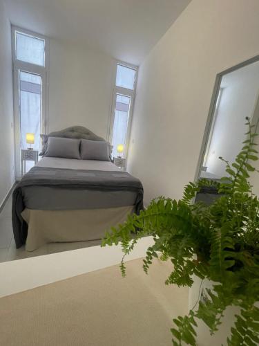 a bedroom with a bed with two windows and a plant at Il Melograno in Cavallino di Lecce