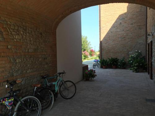 Катание на велосипеде по территории Agriturismo Da Luca или окрестностям