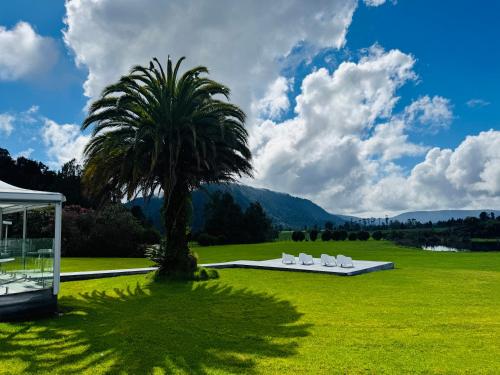 Franz Josef Oasis — Garden view
