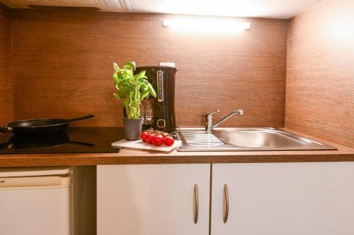 a kitchen counter with a sink and a plant at Comfort Aparthotel Versailles, St Cyr l'Ecole in Saint-Cyr-lʼÉcole