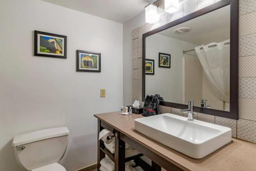 Ένα μπάνιο στο Comfort Inn & Suites Cartersville - Emerson Lake Point