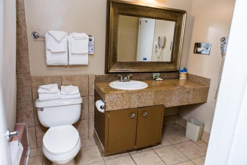 a bathroom with a toilet and a sink and a mirror at Pelican Inn in Monterey