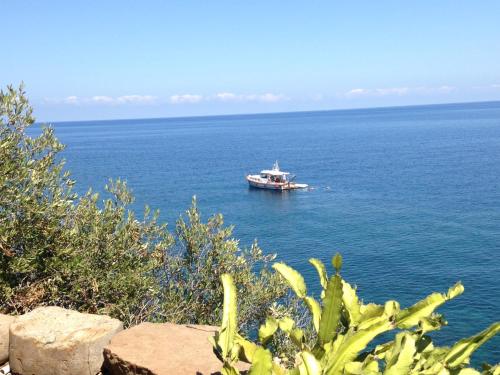 Φυσικό τοπίο κοντά σε αυτό το διαμέρισμα