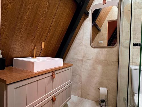 une salle de bain avec un lavabo et une douche dans l'établissement ESB Chalés, à Poços de Caldas
