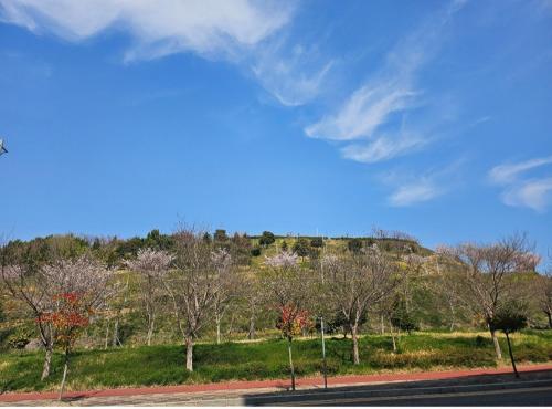 Una vista de una colina con árboles y una carretera. en 여수호텔 퍼스트시티 429호 더블 하프오션뷰, en Ungch'ŏn-ni
