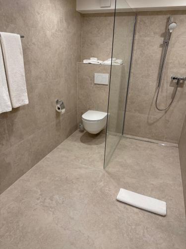 a bathroom with a toilet and a glass shower at Rôtisserie in Saint-Maurice