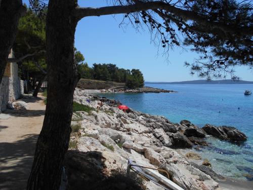 Φυσικό τοπίο κοντά σε αυτό το διαμέρισμα