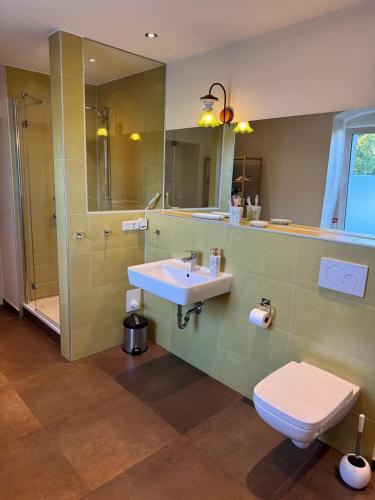 a bathroom with a sink and a toilet and a mirror at Ferienhaus Niemtsch -Alte Schule- in Senftenberg