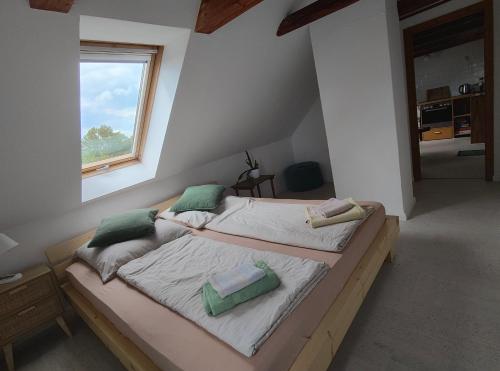 two twin beds in a room with a window at Ferienwohnung Ostermaier in Dresden