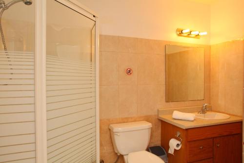 een badkamer met een toilet, een wastafel en een douche bij Premedinos inn in Lazaráta