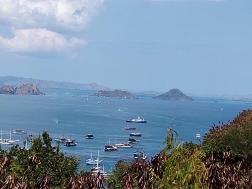 a group of boats in a large body of water at La Colina Komodo Hotel in Labuan Bajo