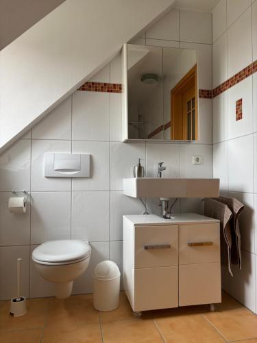 a bathroom with a toilet and a sink and a mirror at Ferienwohnung mit Küche und Bad in Hollenbach