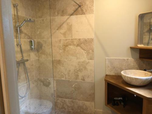 a bathroom with a shower and a sink at Les Eaux Calmes in Talcy