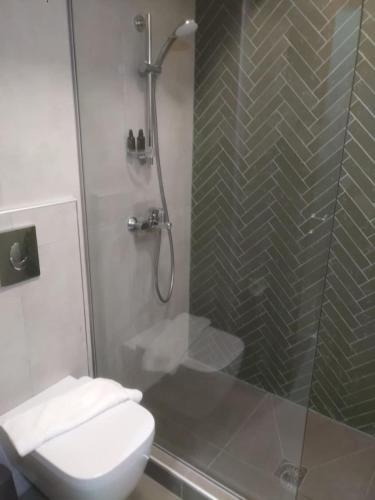 a bathroom with a shower with a toilet and a sink at Stylianos House 6 in Leonidio