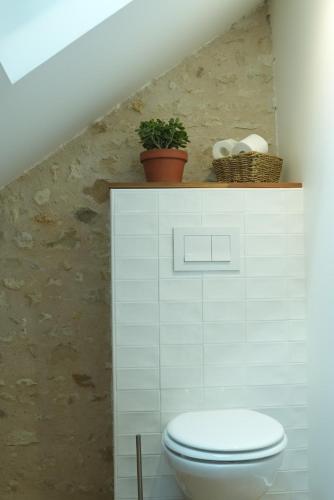 een badkamer met een toilet en een plank met een plant bij Studio de charme in Achères-la-Forêt