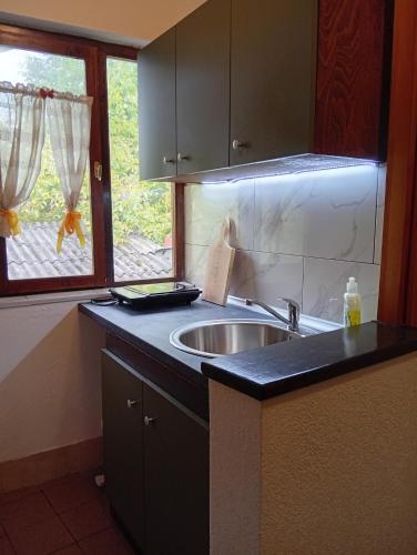 Majoituspaikan Apartman Kaća keittiö tai keittotila