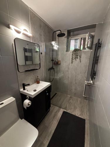 a bathroom with a shower and a toilet and a sink at RENTeaza Studio IOR Park in Bucharest