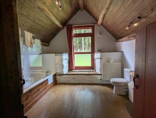 a bathroom with a toilet and a sink and a window at Longhouse - Hen Dy in Rhayader
