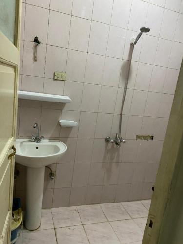 a bathroom with a shower and a sink at Nile Cruise Aswan in Luxor