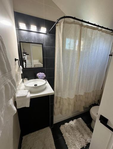 a bathroom with a sink and a toilet and a shower at The studio for all your needs in Sacramento