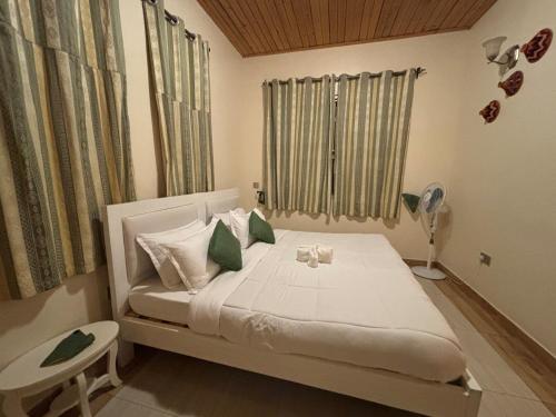 a bedroom with a white bed with pillows and a fan at Albatina Place in Nakasongola
