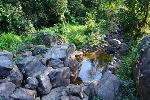 a river with rocks and trees in the background at Stream Garden Mountain Resort in Kalpetta