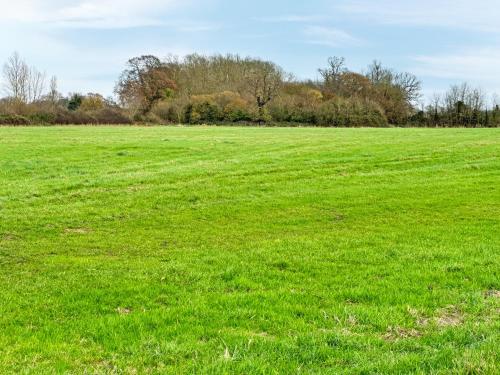 a large field of green grass with trees in the background at Orchard House - Uk48580 in Rochford