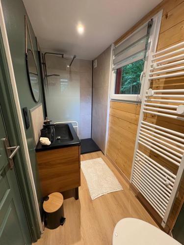 a bathroom with a sink and a toilet at La cabane sur l'étang in Étival-Clairefontaine
