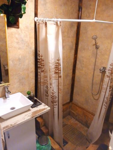 a shower curtain in a bathroom with a sink at Sunny Side Fruska Gora- apartman A in Velika Remeta
