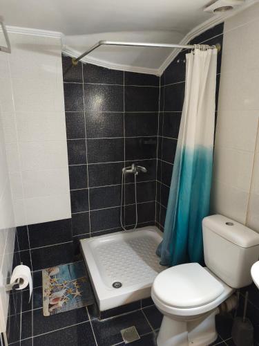 ペトラにあるTeris Gardenのトイレとシャワー付きのバスルーム