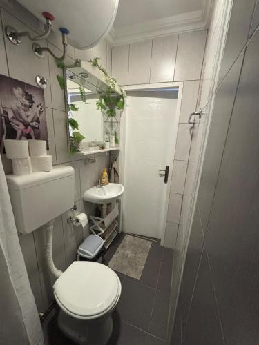a small bathroom with a toilet and a sink at Bohemian Rhapsody low ground studio in Belgrade
