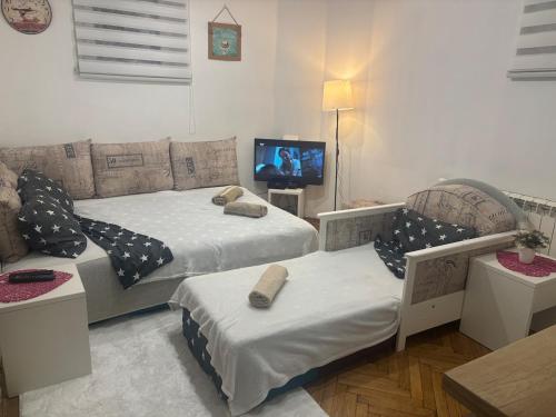 a living room with two beds and a tv at Bohemian Rhapsody low ground studio in Belgrade