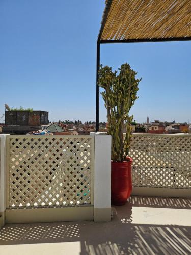 Un balcón o terraza de Miostello Lifestyle Riad Marrakech