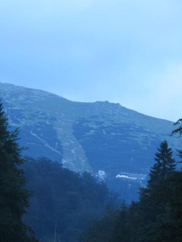 a view of a mountain with trees and a valley at Apartmán Chopok Juh Romantika 14 in Tale