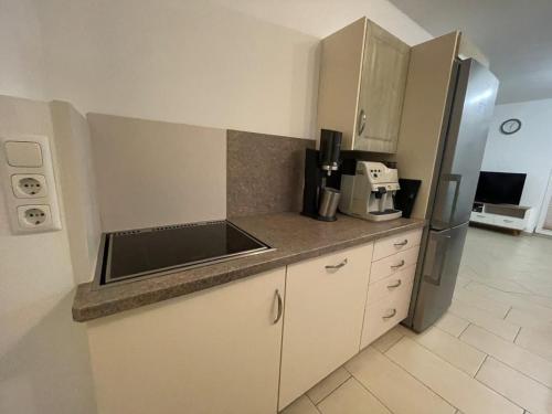 a kitchen with a sink and a refrigerator at Karos-Apartment in Mittersill