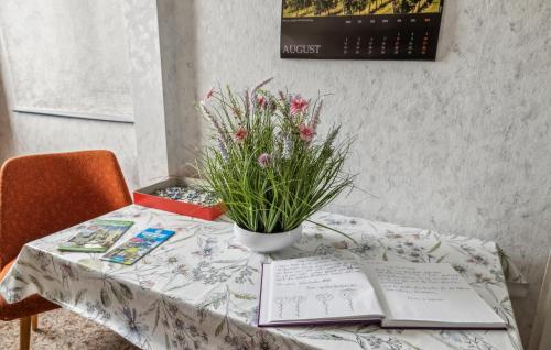 a table with a book and a potted plant on it at Ferienwohnung Neuhermsdorf in Neuhermsdorf
