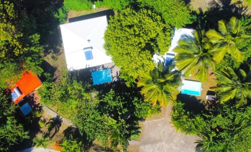 an overhead view of a house with trees and a pool at LocationTiBalisier pointe sud Martinique in Sainte-Anne